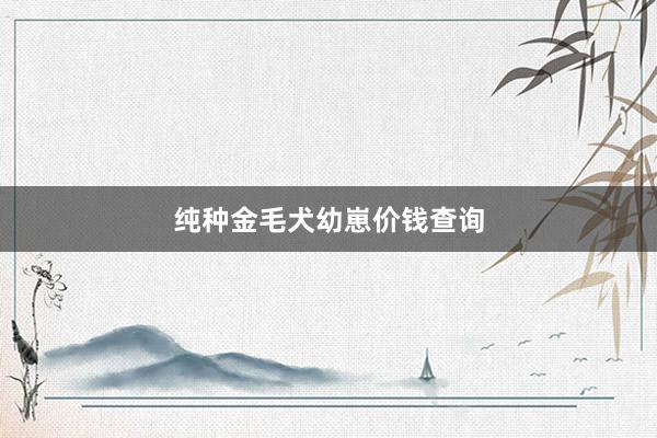 纯种金毛犬幼崽价钱查询