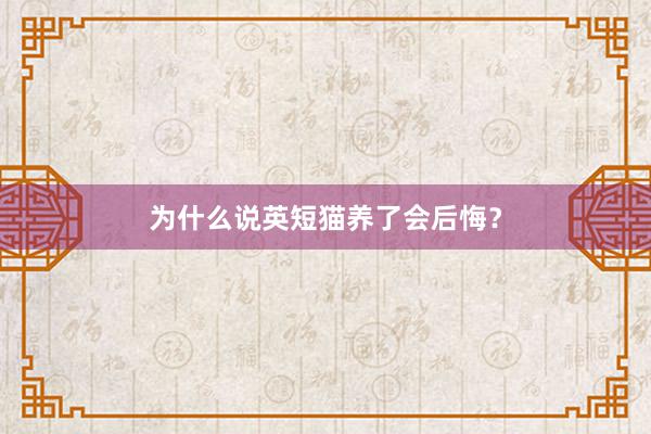 为什么说英短猫养了会后悔？
